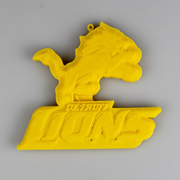 Detroit Lions Logo image
