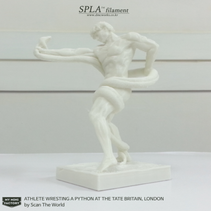 3D Printable Athlete Wrestling a Python by Scan The World