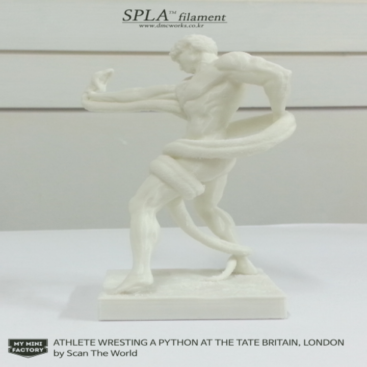 3D Printable Athlete Wrestling a Python by Scan The World