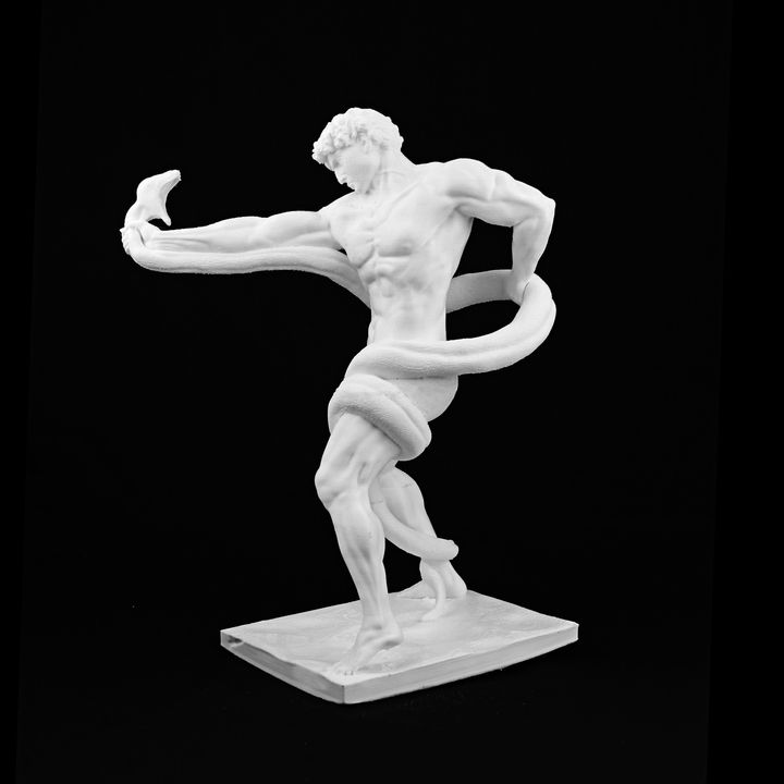 3D Printable Athlete Wrestling a Python by Scan The World