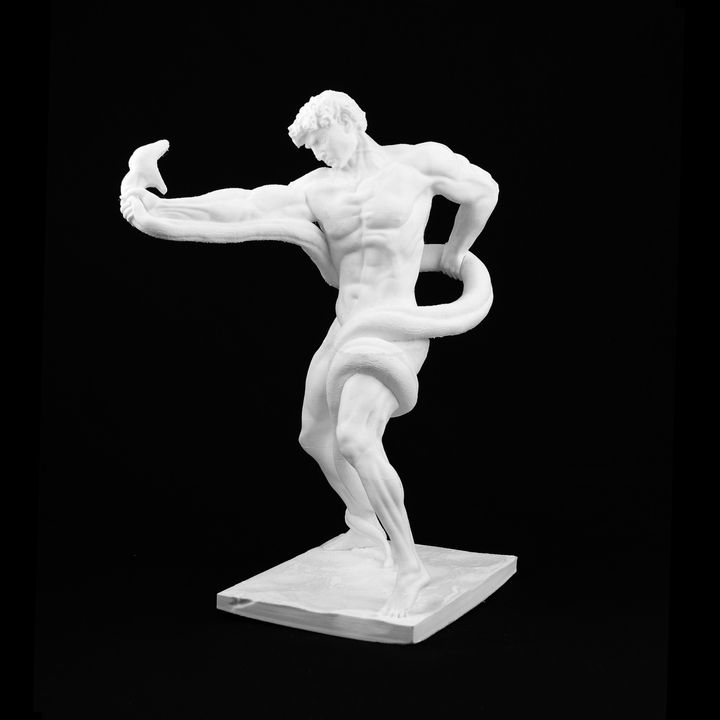 3D Printable Athlete Wrestling a Python by Scan The World