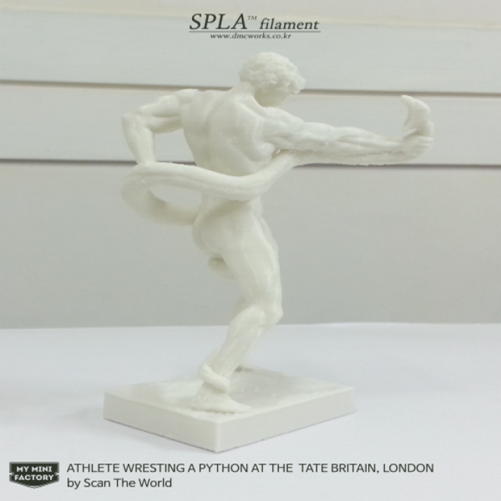 3D Printable Athlete Wrestling a Python by Scan The World