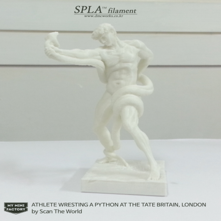 3D Printable Athlete Wrestling a Python by Scan The World