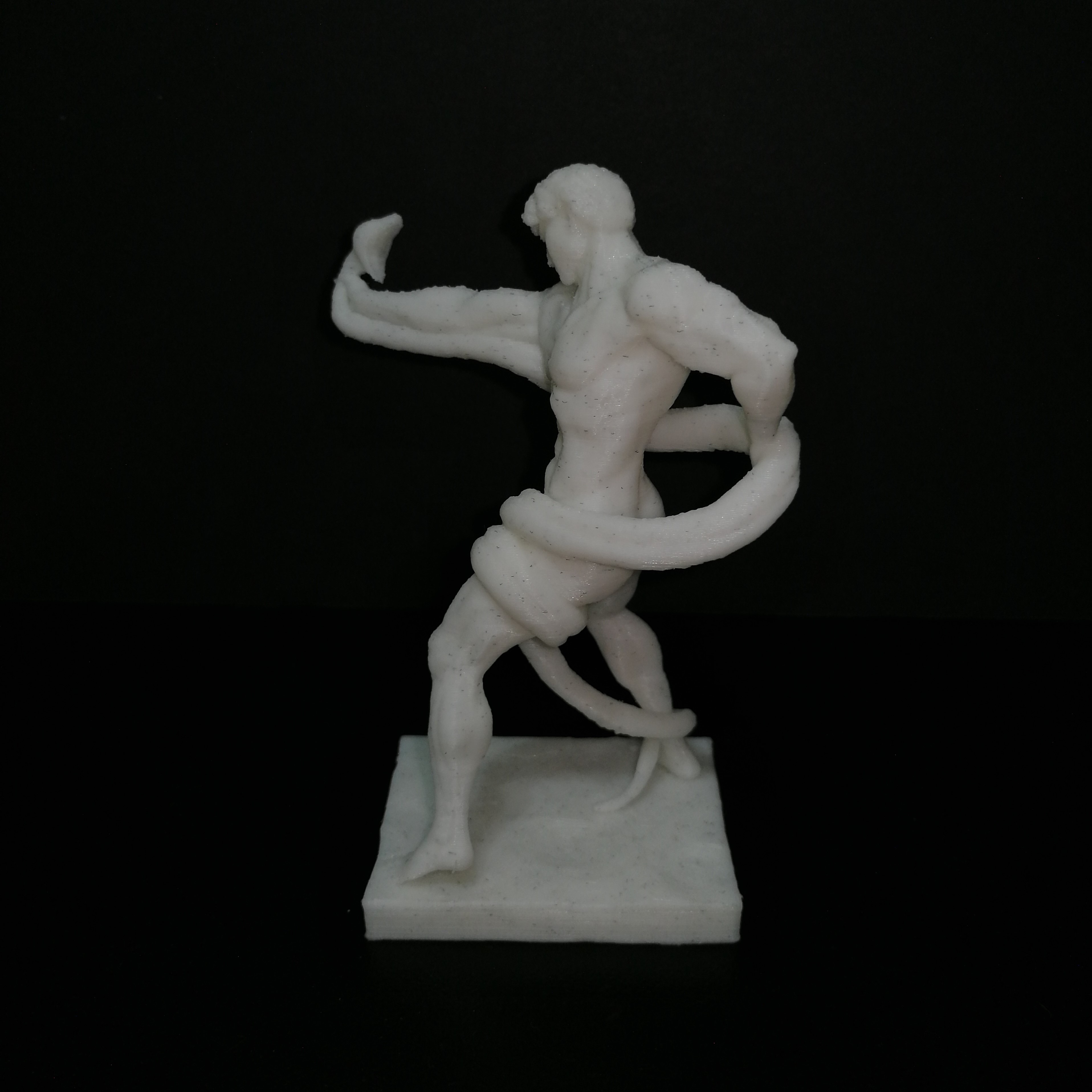 3D Printable Athlete Wrestling a Python by Scan The World