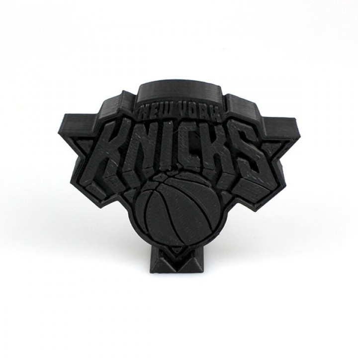 New York Knicks Logo image