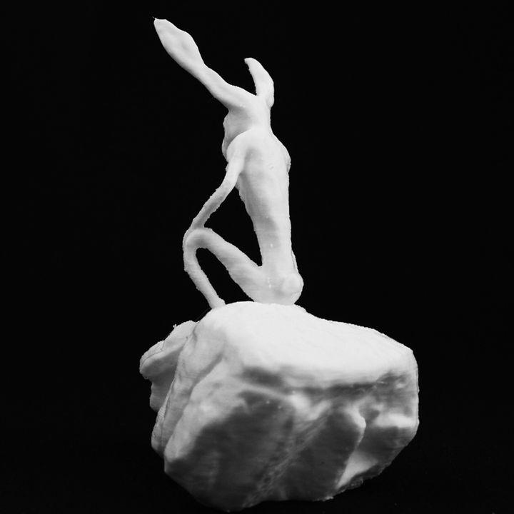 Thinker on a rock, NGA Sculpture garden image