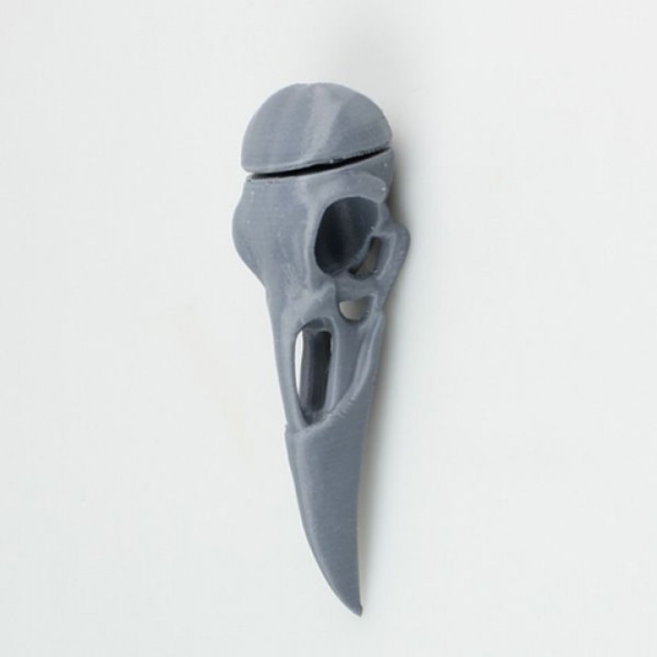 Boneheads: Raven - Skull Kit - PROMO - 3DKitbash.com image