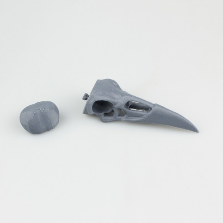 Boneheads: Raven - Skull Kit - PROMO - 3DKitbash.com image