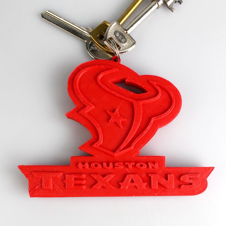 Houston Texans Logo image