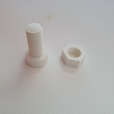 Picture of print of Screw