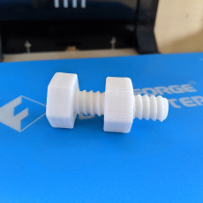 Picture of print of Screw