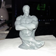Picture of print of Superbust
