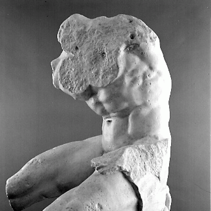 The Belvedere Torso at the Museo Pio-Clementino, Vatican image