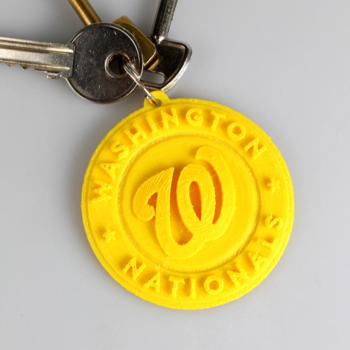 Washington Nationals Logo image