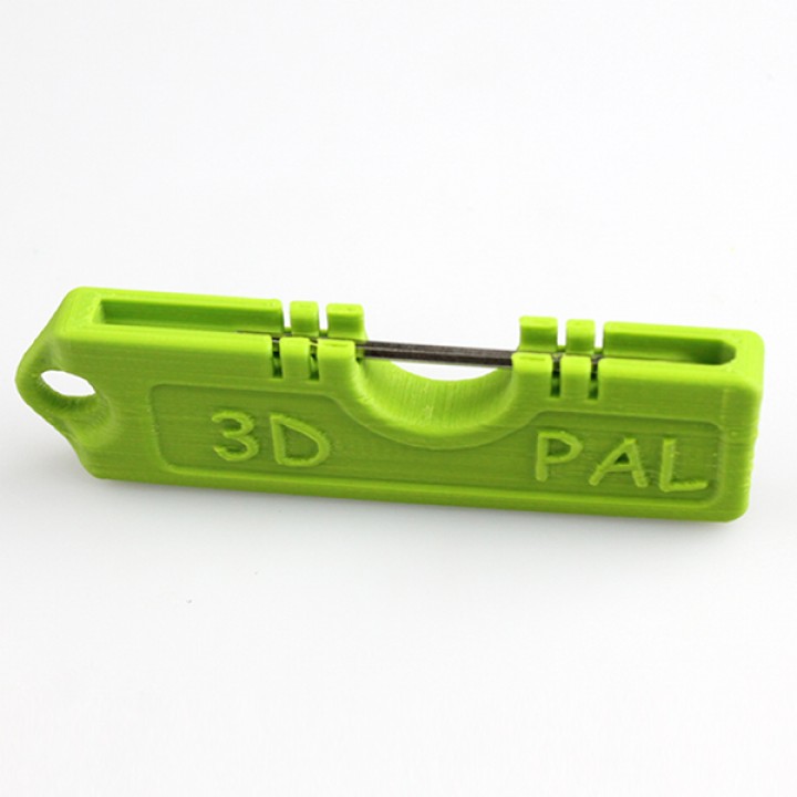 3D Printer Pal Keyring image