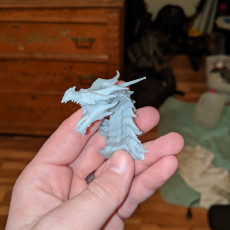 Picture of print of Alduin dragon Bust