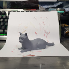 Picture of print of Alert Cat