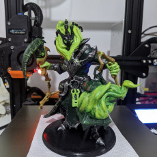 Picture of print of Thresh - league of legends