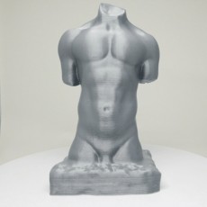 Picture of print of Torso of Banovic Strahinja at the V&A, London