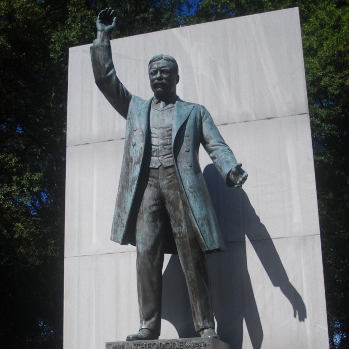 Theodore Roosevelt statue at Theodore Roosevelt Island, USA image