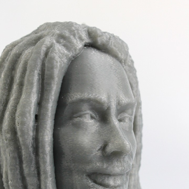 Bob Marley Bust image