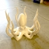 Octopus print image