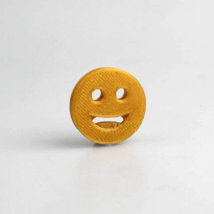 Happy Sad Coin image