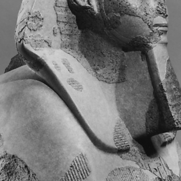 Head and Shoulders of a Sphinx of Hatshepsut at The Metropolitan Museum of Art, New York image