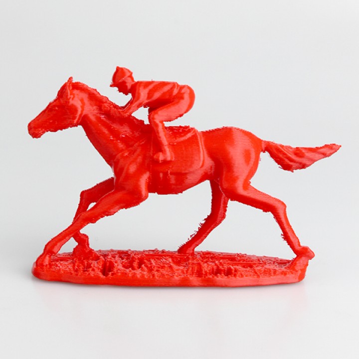 Race Horse  and Jockey image