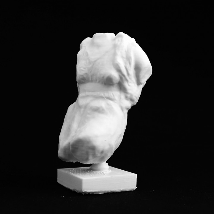 Amphitrtite - Elgin Marble, at The British Museum, London image