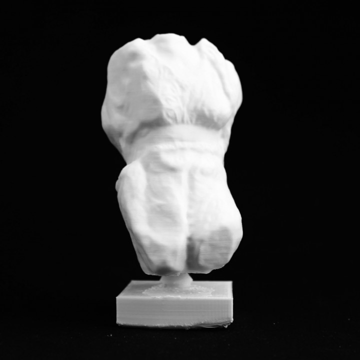 Amphitrtite - Elgin Marble, at The British Museum, London image