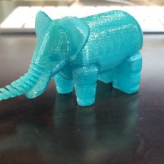 Picture of print of Elephant LFS