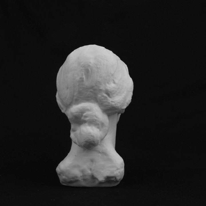 Head of a Woman image