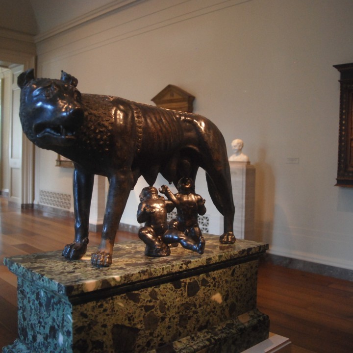 The Capitoline Wolf at The Musei Capitolini, Rome image