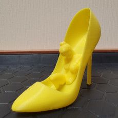 Picture of print of Pigalle like shoe