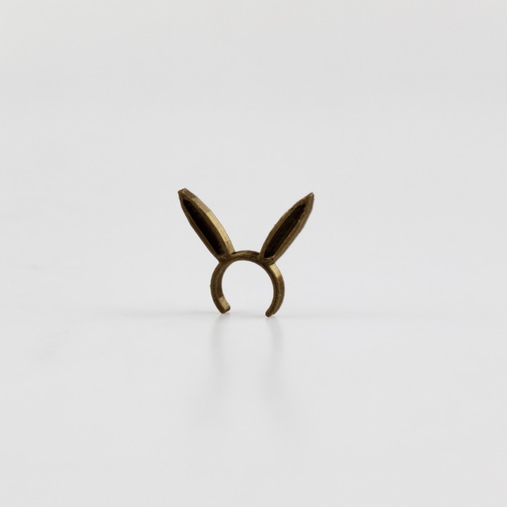 Rabbit ring image