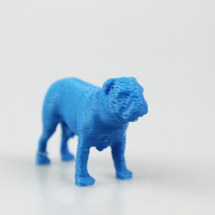 Bulldog 3D model image