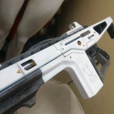 Picture of print of Monte Carlo Auto Rifle From Destiny
