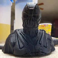 Picture of print of Dark Knight Rises Bane Mask