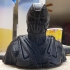 Dark Knight Rises Bane Mask print image