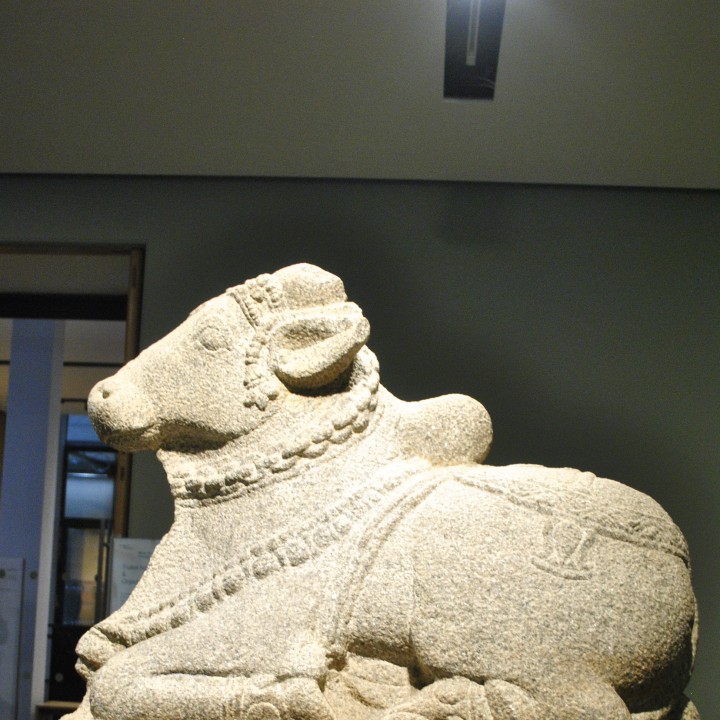 Nandi Cow at The British Museum, London image