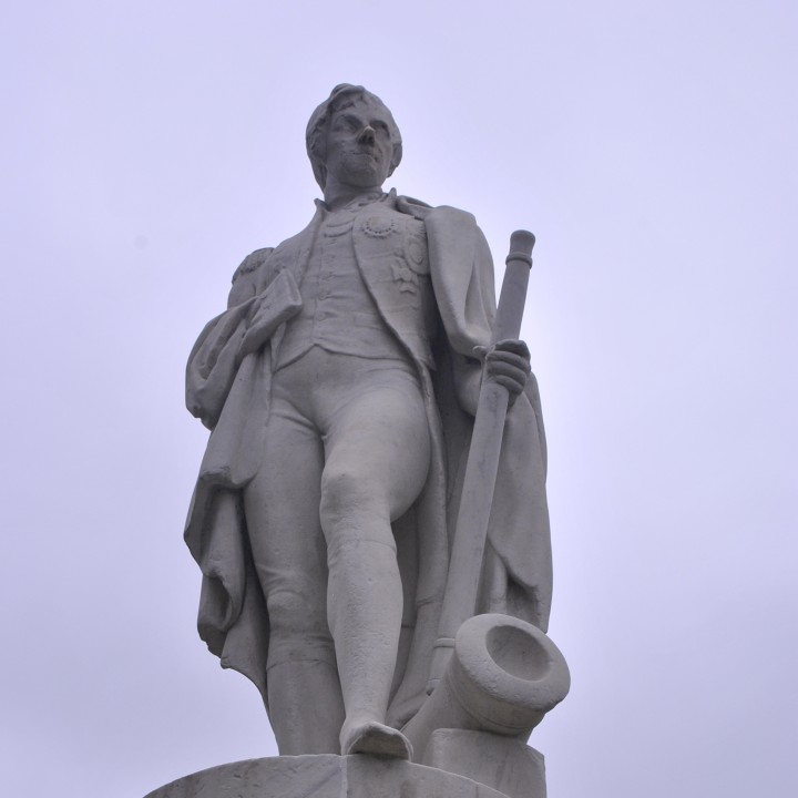 Nelson in Reading, United Kingdom image
