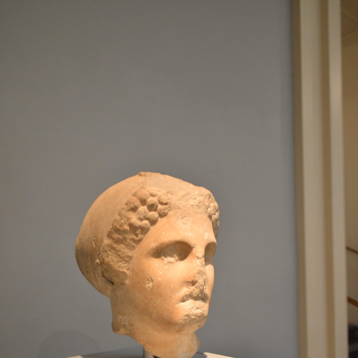 Head of a Colossal Statue of a Woman Wearing a Sako at The British Museum, London image