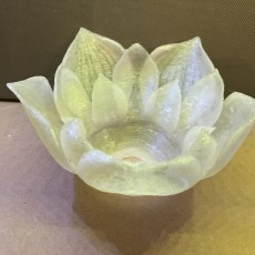 Picture of print of Lotus Flower Lampshade