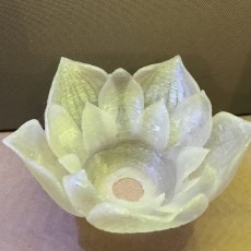 Picture of print of Lotus Flower Lampshade