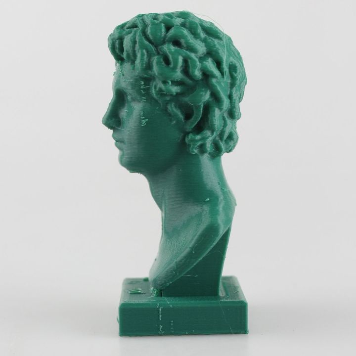 Alexander Bust Statue image