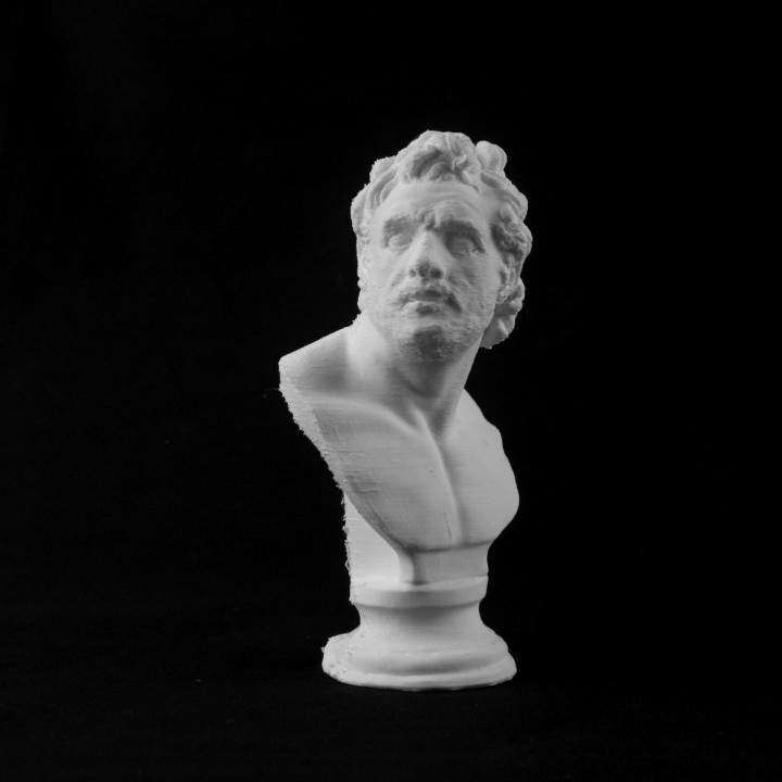 Head of Homeric Hero at The British Museum, London image