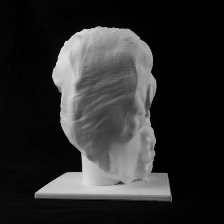 Head of Polyphemos at The Museum of Fine Arts, Boston image