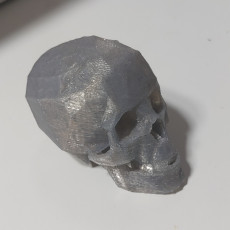Picture of print of Skull