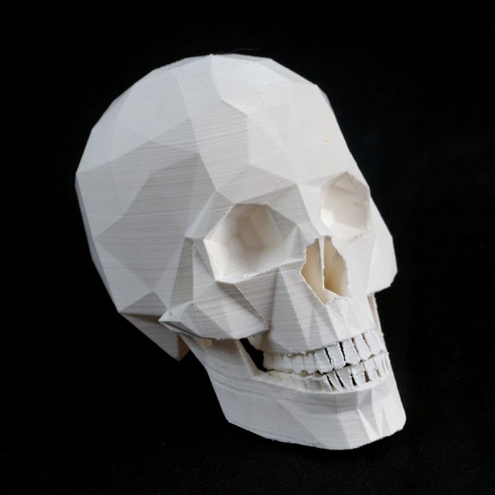 3D Printable Skull with jaw by Paul Cummings